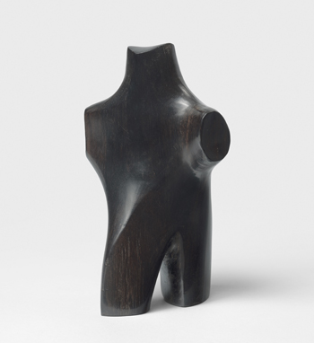 Image Caption Hover Alt