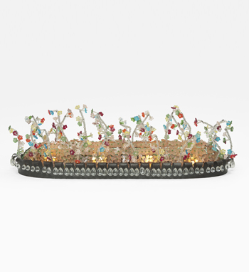 Image Caption Hover Alt