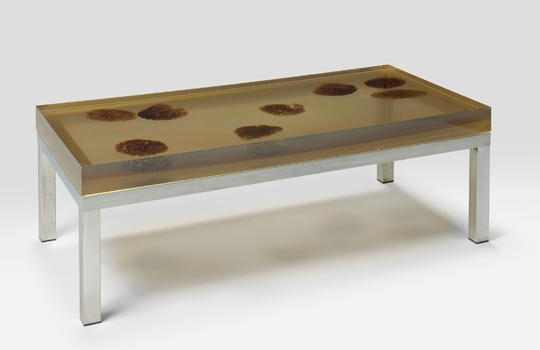 Image Caption Hover Alt