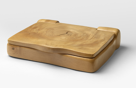 Image Caption Hover Alt